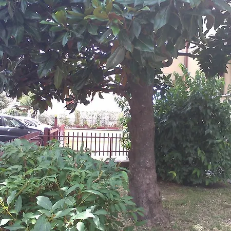 Short Centro Verona