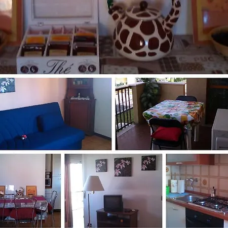 Apartment Short Centro